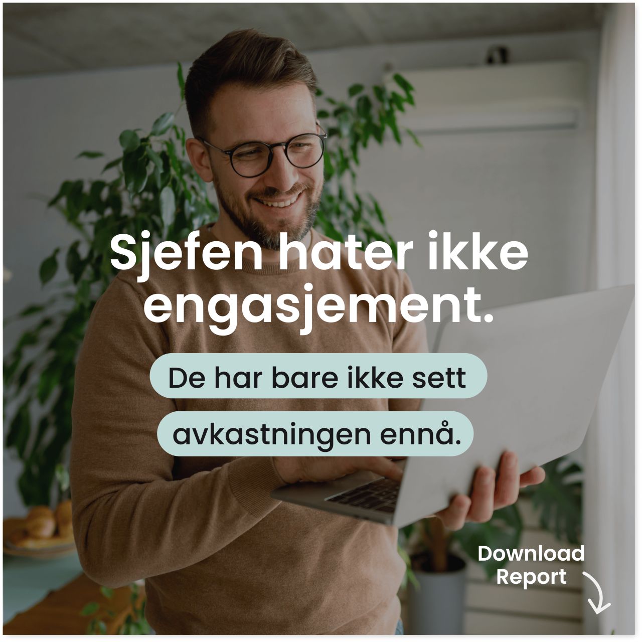 Winningtemp-datarapport – last ned nå!